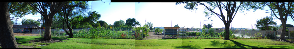 huerta ontario community garden panorama