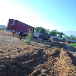 compost sorting