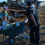 compost sorting