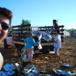 compost sorting