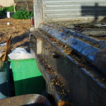 compost sorting