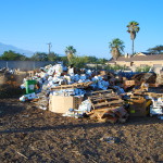 compost sorting